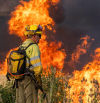 Miedo al fuego de verano: los incendios pueden arrasar España como hicieron en Chile
