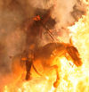 Los caballos vuelven a atravesar las llamas en las 'luminarias' de San Bartolomé de Pinares