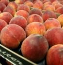 Melocotón: propiedades, beneficios y valor nutricional