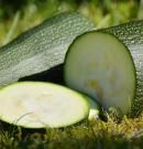 Calabacín: propiedades y beneficios