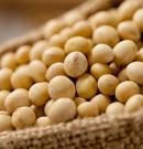 Soja: descubre su valor nutricional, propiedades, beneficios y mitos