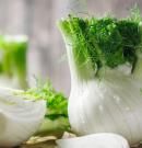 Hinojo, descubre sus beneficios y propiedades