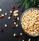 Piñones: qué son, origen, propiedades y beneficios para la salud