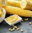 Maíz: descubre sus propiedades, beneficios y valor nutricional