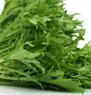 Achicoria: qué es, propiedades, beneficios para la salud y valor nutricional de esta hortaliza