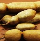 Tamarindo: propiedades, beneficios y valor nutricional