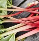 Ruibarbo: descubre sus propiedades, beneficios y valor nutricional