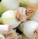 Cebolleta: propiedades, beneficios y valor nutricional de este alimento entre la cebolla y el puerro