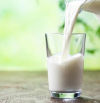 Leche: composición, propiedades, beneficios y valor nutricional