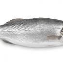 Lubina: propiedades, beneficios y valor nutricional de este pescado