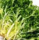 Escarola: conoce sus propiedades, beneficios y valor nutricional