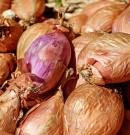 Chalota: qué es, propiedades y cómo usar en la cocina