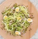 Cómo preparar una ensalada tibia de escarola con judías Mungo