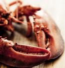 Langosta: propiedades, beneficios y valor nutricional de este marisco