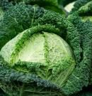 Berza: descubre sus beneficios, propiedades y valor nutricional