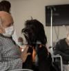 Los beneficios de la terapia con perros en los pacientes frágiles