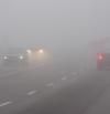 Si la niebla te sorprende en la carretera, sigue estos consejos de la DGT