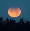 Las mejores fotos del eclipse parcial de Luna