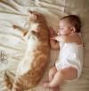Cómo preparar a tu mascota para que la llegada de un bebé no suponga un shock