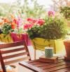 10 plantas de exterior para dar vida a tu terraza esta primavera