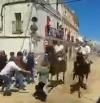 Arrollan a una mujer y a su nieta en las carreras de caballos de Arroyo de la Luz, en Cáceres