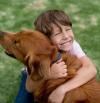 Advierten por qué los perros pueden ser tan 'sanadores' para los niños