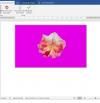Cómo quitar el fondo a las imágenes con Word