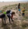 Un ejército de voluntarios combate a las plantas invasoras de las playas metropolitanas de Barcelona
