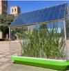 Crean unas placas solares que pueden convertir los invernaderos en grandes centrales eléctricas