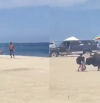 Aparece un toro en una playa y embiste brutalmente a una mujer