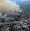 La superficie quemada en el Amazonas brasileño en 2024 duplica la media histórica