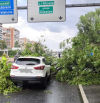 Un árbol cae sobre un coche en la M-30 a su paso por el distrito de Salamanca por la tormenta