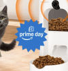 Amazon Prime Day 2025: los mejores descuentos en areneros, rascadores, bebederos y comederos para tu gato