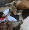 Un herido por asta de toro en el veloz y atropellado tercer encierro de San Fermín