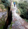 El Pont Foradat de Roques Blanques