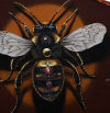 La abeja gigante de Häcko Crâne en La Bañeza, León, candidata a mejor mural del mundo de 2025