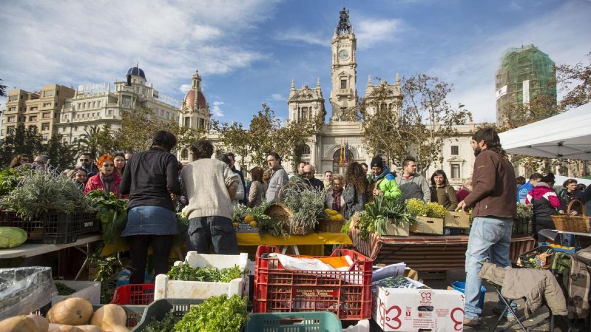 Contra las lechugas y las bragas