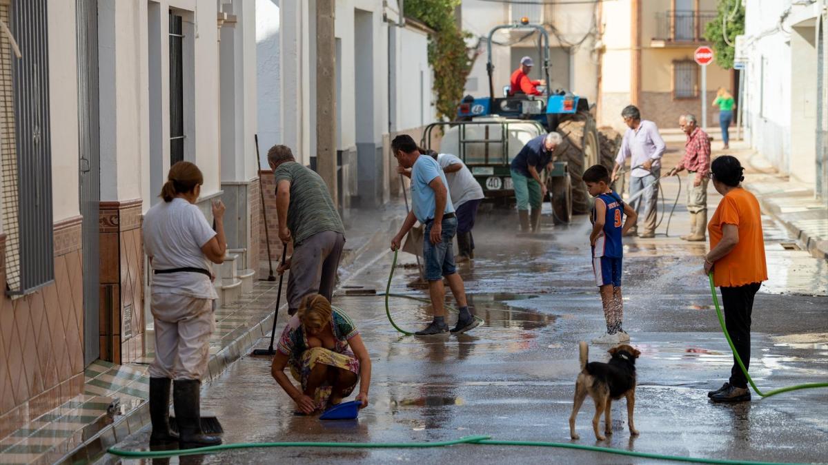 La lluvia deja en Sevilla casas inundadas, vías cortadas, arroyos desbordados y coches atrapados