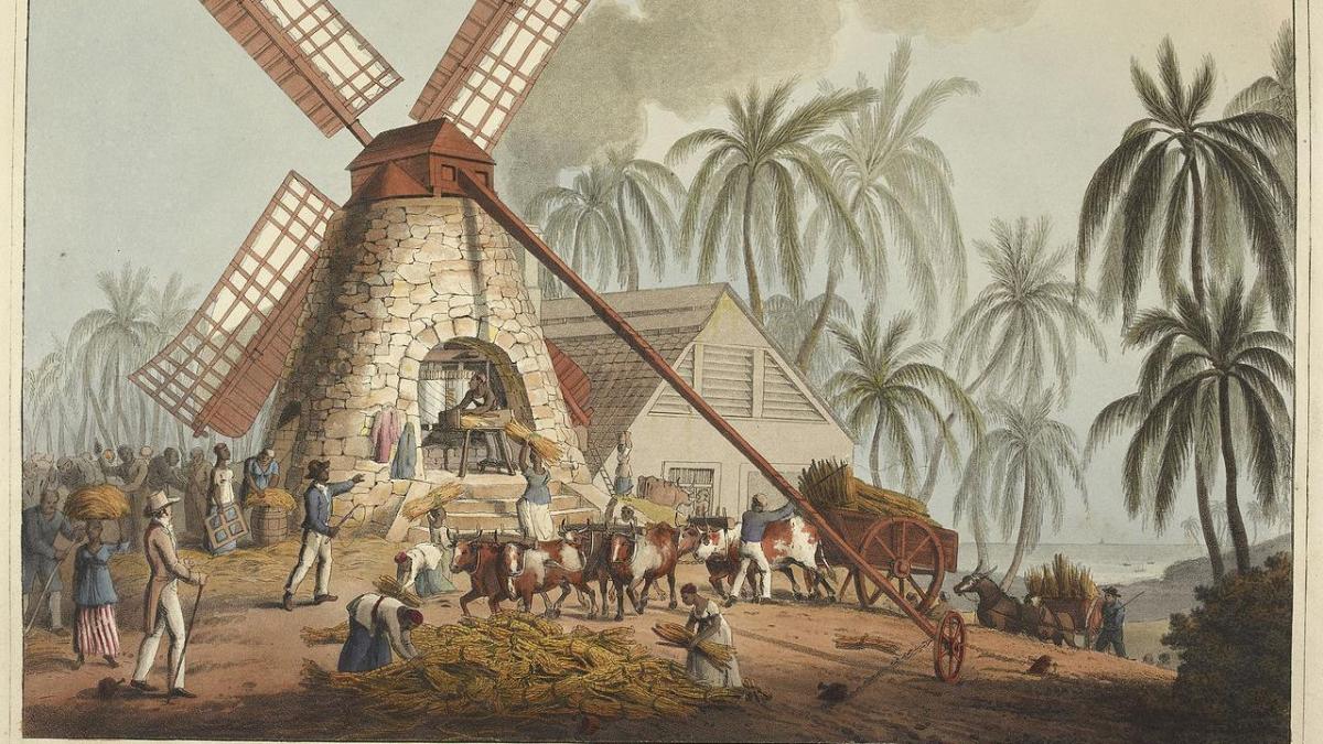 Azúcar: una industria despiadada de explotación y codicia