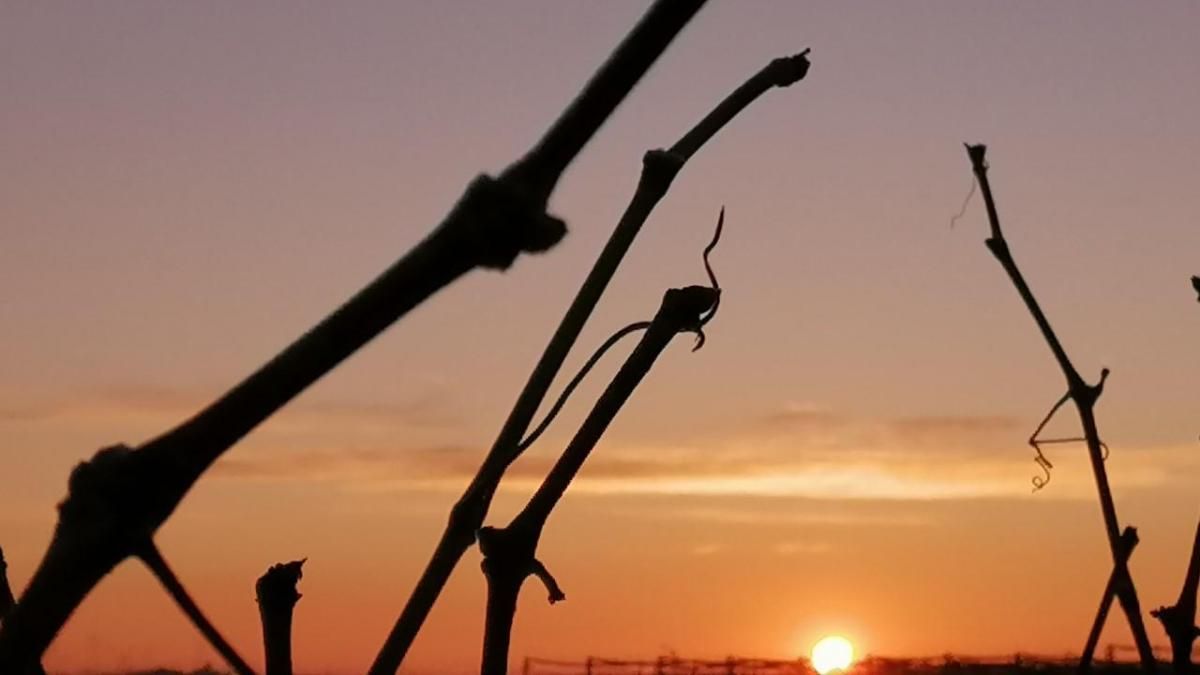 Lucha del sol con el hielo en los campos de Lleida