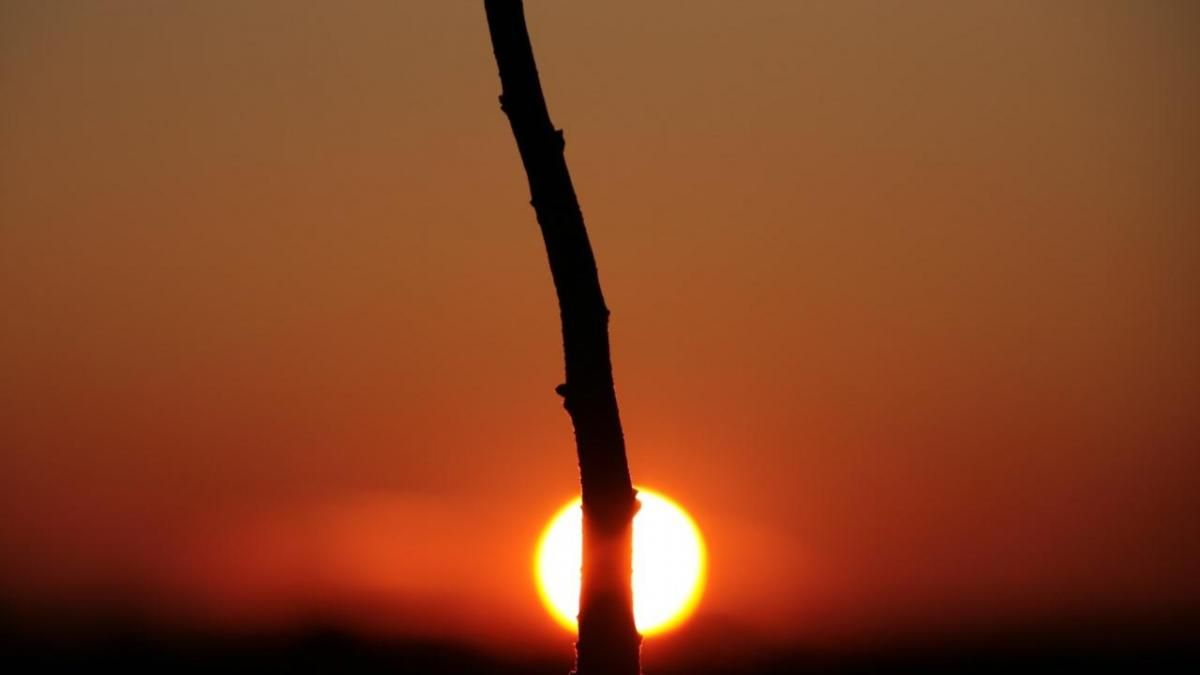 La colorida esencia de Tornabous
