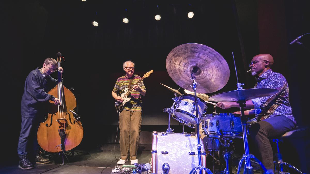 Bill Frisell, eminente