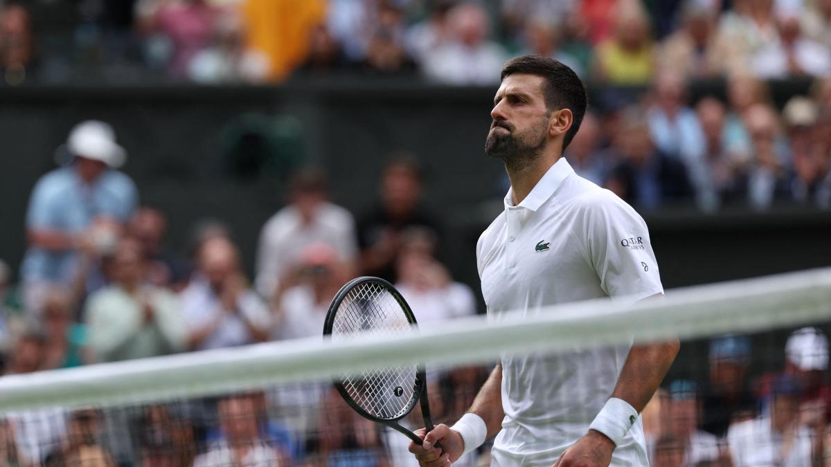 Y Djokovic teje otra telaraña