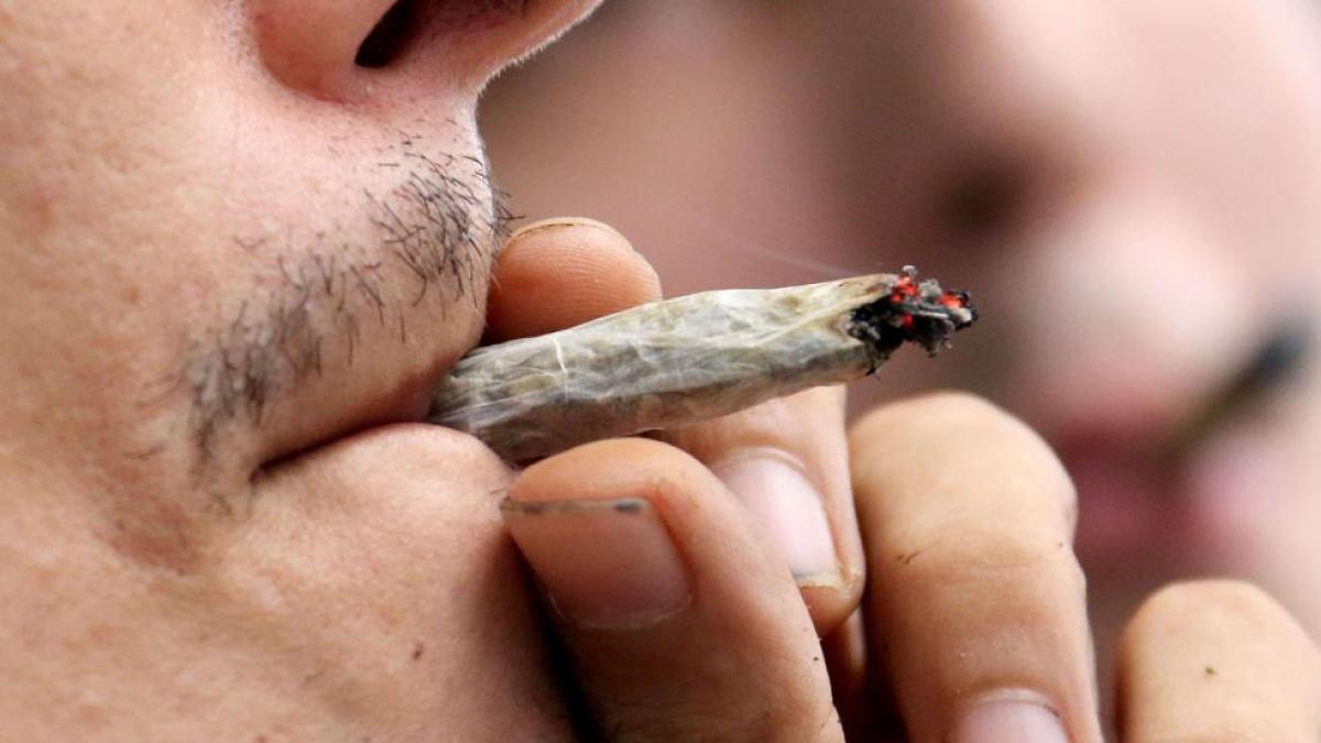 La mayoría de la marihuana que consumen los jóvenes tiene sustancias tóxicas e infecciosas