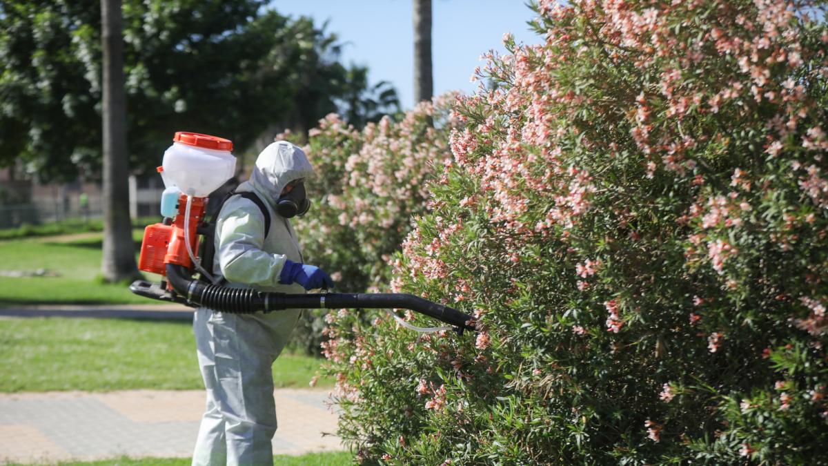 Muere una mujer de 80 años en Coria del Río por el Virus del Nilo, la décima víctima en Andalucía