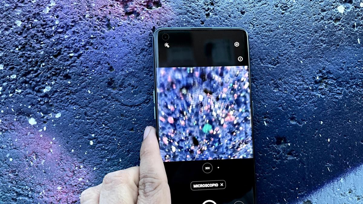 La servidumbre de los protocolos, de Ingrid Guardiola