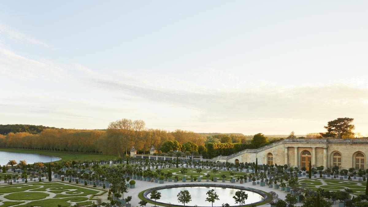 En busca de la belleza perdida