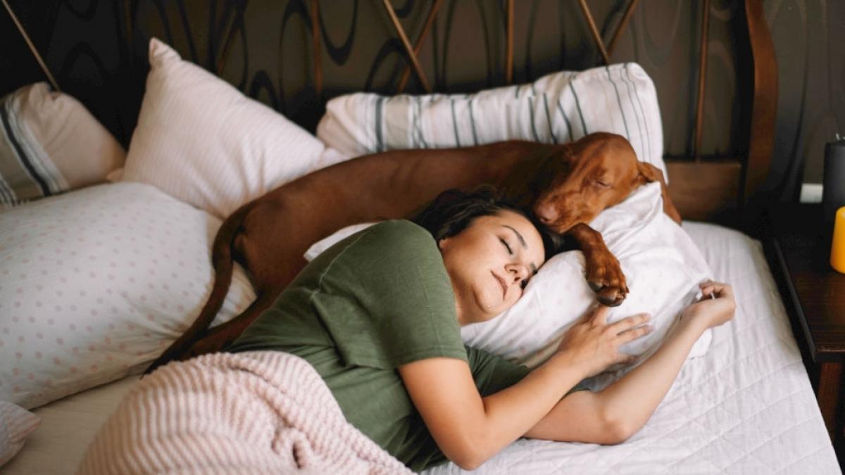 Esta es la mejor hora para acostarse, según un estudio