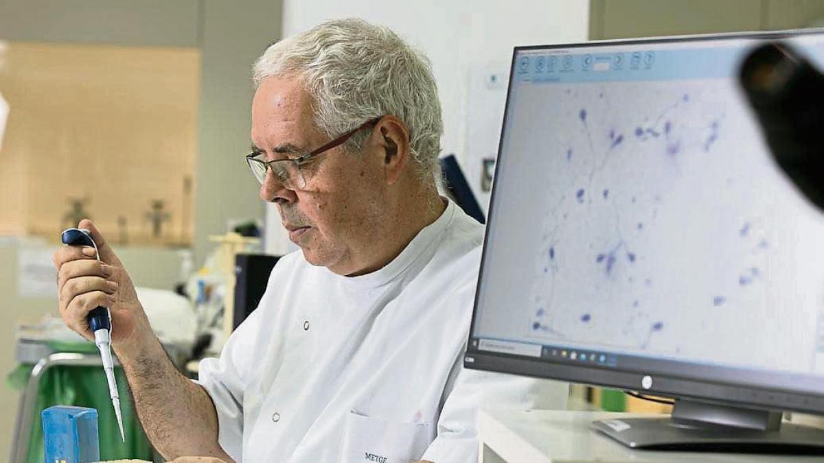 “El semen de los españoles está en la banda alta de fertilidad”