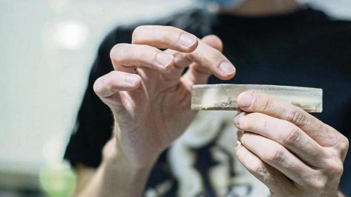 La regulación del cannabis llega al Congreso